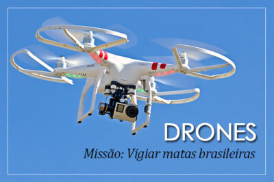 Drones - viagiando matas brasileiras