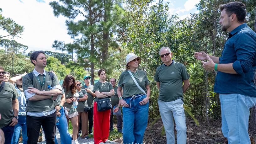 corretores-curitiba-alto-padrao-campo-alegre-sc-050