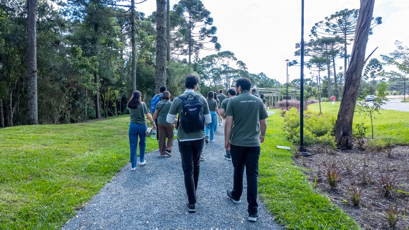 corretores-curitiba-alto-padrao-campo-alegre-sc-053