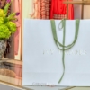 Maison Ivy Tavares 030